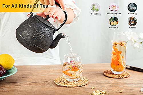 Tea Kettle TOPTIER Japanese Cast Iron Teapot with Infuser