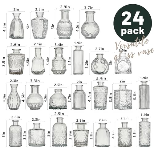 Glass Bud Vase Set of 24 Pcs Small Minimalist Vases for Flowers (24 Count)