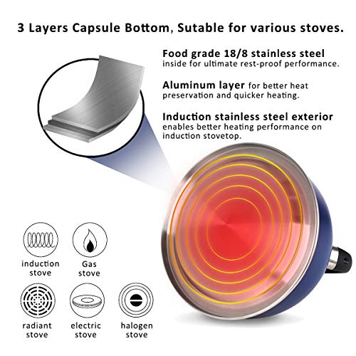 Whistling Tea Kettle for Stove Top