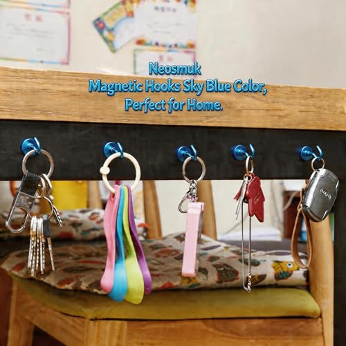 Magnetic Hooks (15 Count)
