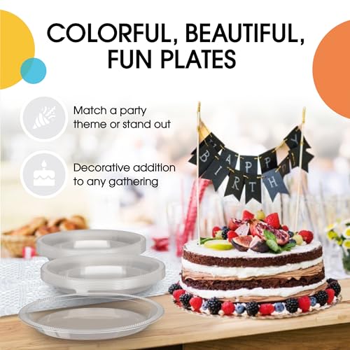 Sturdy Clear Plastic Plates 9" Party Plates 100 Pcs (100 Count)