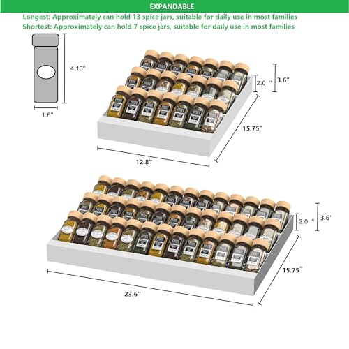 Expandable Metal Spice Drawer Organizer (2 Count)