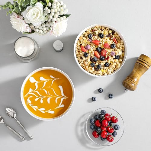 Salad Soup Bowls Set of 2 (2 Count)
