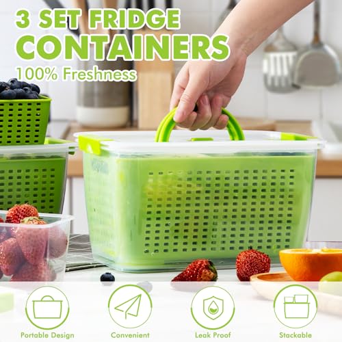 Produce containers for fridge (135.2561 Fl Oz)