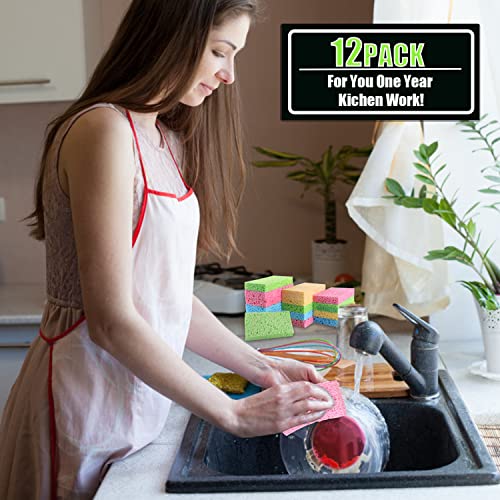 Compressed Cellulose Kitchen Sponges 12Pack (12 Count)