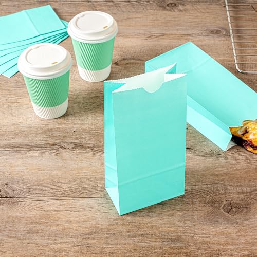 Turquoise Paper Bag (100 Count)