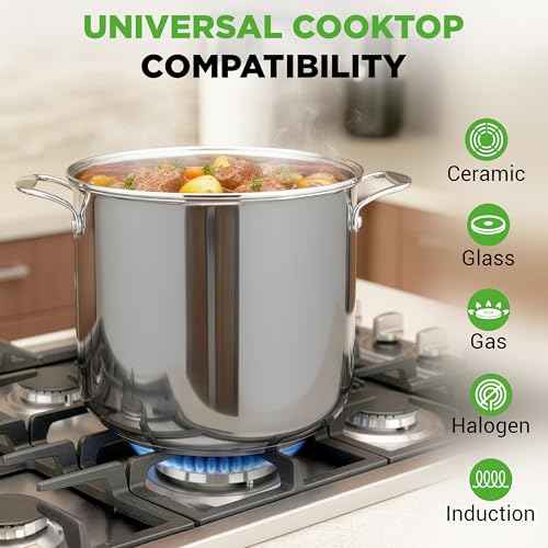 19 Qt Stock Pot with Lid