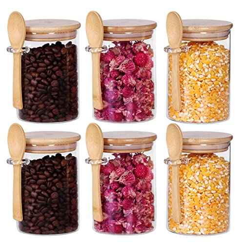 Glass Jars with Bamboo Lids and Spoon Set of 6 (6 Count)