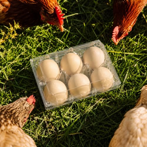 100 Pack Egg Cartons 6 Count (100 Count)