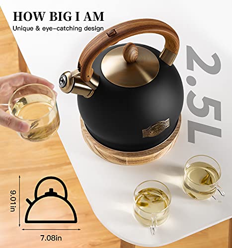 Whistling Tea Kettle Stovetop
