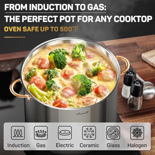 Stock Pot 20 Quart
