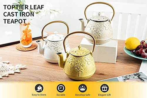 Japanese Cast Iron Tea Kettle with Infuser
