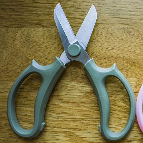 Flower Scissors