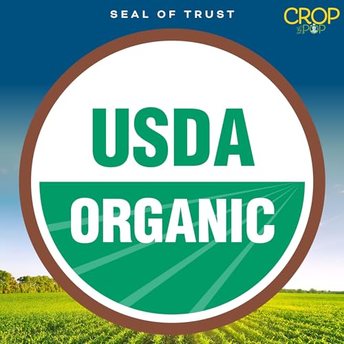 CROP BY POP Organic Sun Dried Mango Slices (16 Ounce)