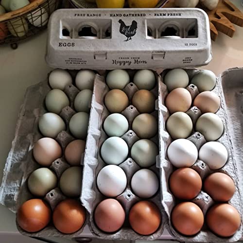 90 Egg Cartons (90 Count)