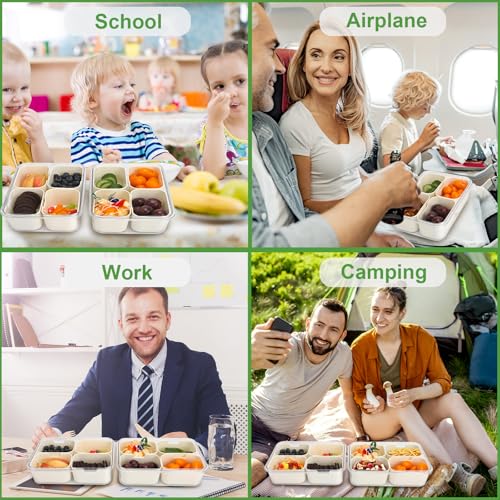 4 Compartment Snackle Box Container with Lid