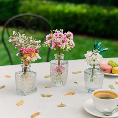 Glass Bud Vase Set of 12 Pcs (12 Count)