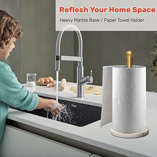 Heavy Weighted Paper Towel Holder