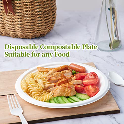 120 Pack Compostable Paper Plates Disposable (60 Count)