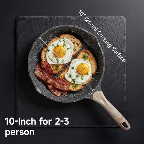 10 Inch Nonstick Frying Pan Skillet with Dual Spouts Cooking Pan