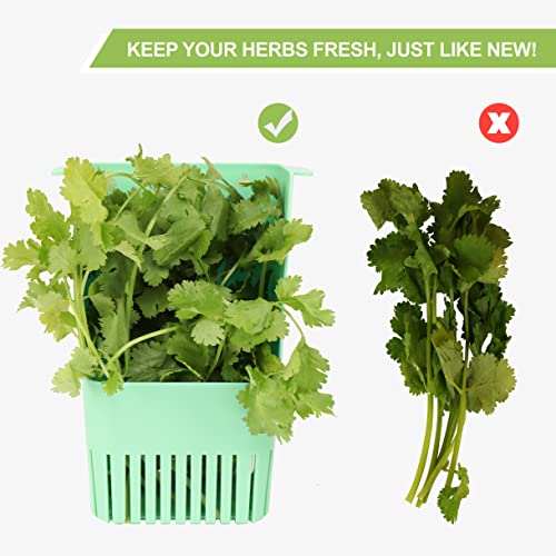 2 Pack Herb Keeper