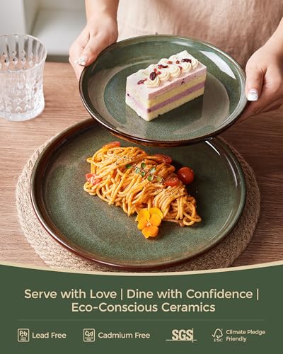 Stoneware Dinnerware Sets for 6