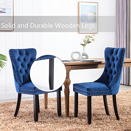 Blue Velvet Dining Chairs Set of 2 (2 Count)