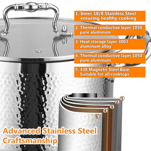 Stainless Steel Stock Pot with Visible Lid for Pasta