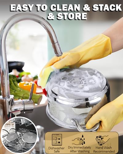 Basics 8 Quart Stainless Steel Stock Pot with Lid