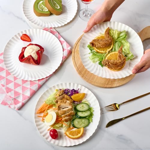 9 Inch Paper Plates (300 Count)