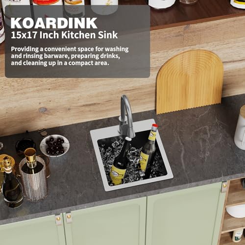 Kitchen And Bar Sink