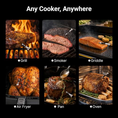 Sub 1G Wireless Meat Thermometer