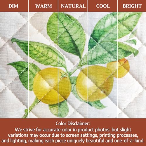Pot Holders 100% Cotton Potholders (2 Count)