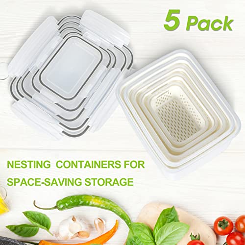 5 Pack Fruit Storage Containers for Fridge Berry Keeper Produce Saver (5 Count)