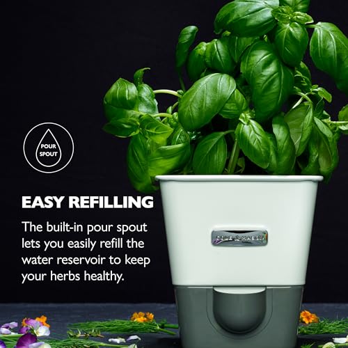 Self Water Herb Keeper