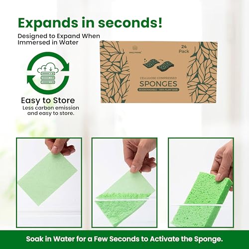Cellulose Sponges (24 Count)