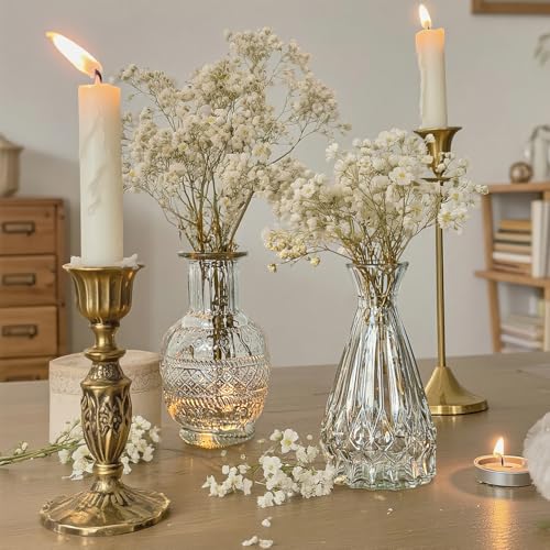 Glass Bud Vase Set of 10 Pcs Small Minimalist Vases for Flowers (10 Count)