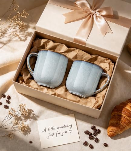Ceramic Coffee Mugs Set of 6 (6 Count)