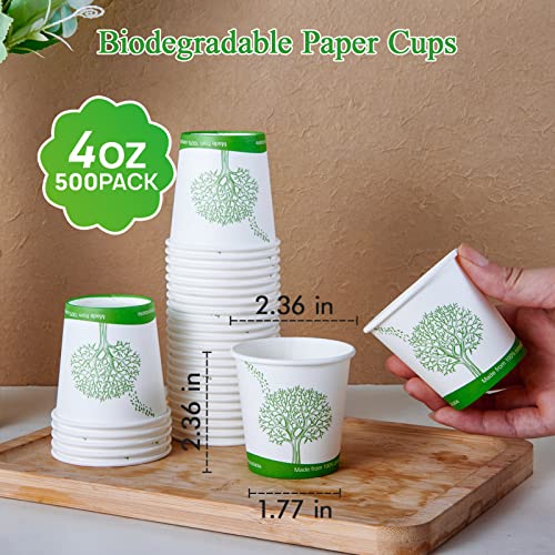 500 Count 4 oz Compostable Paper Cups