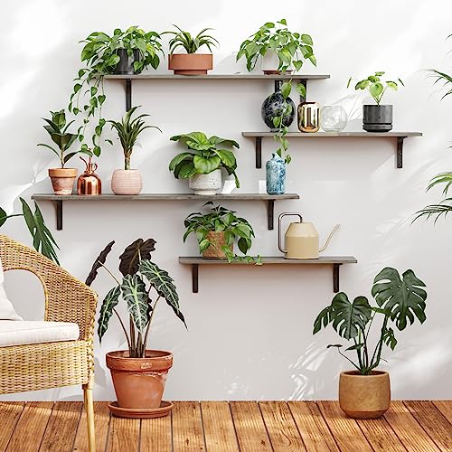 Long Wall Shelves (2 Count)