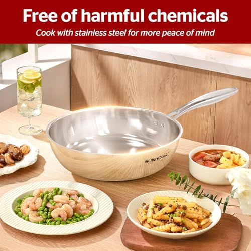 10 Inch Stainless Steel Frying Pan Skillet