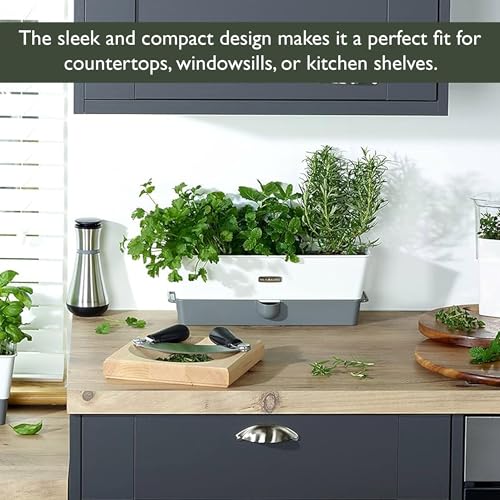 Burwell Self Watering Potted Herb Keeper