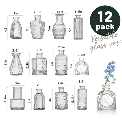 Glass Bud Vase Set of 12 Pcs Small Minimalist Vases for Flowers (12 Count)