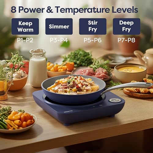 CATIH1A M Portable Induction Cooktop