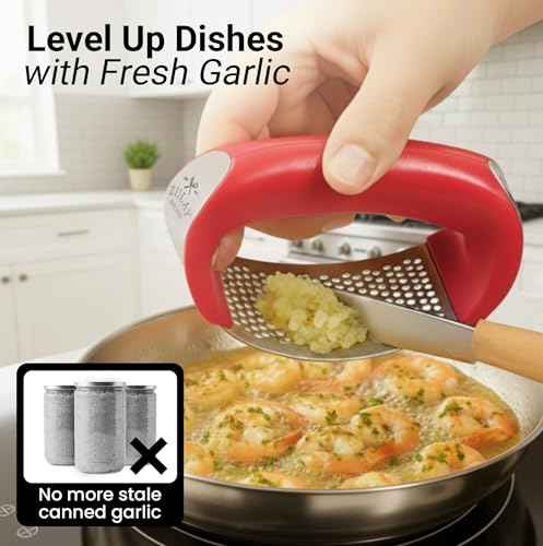Stainless Steel Garlic Press Rocker Set