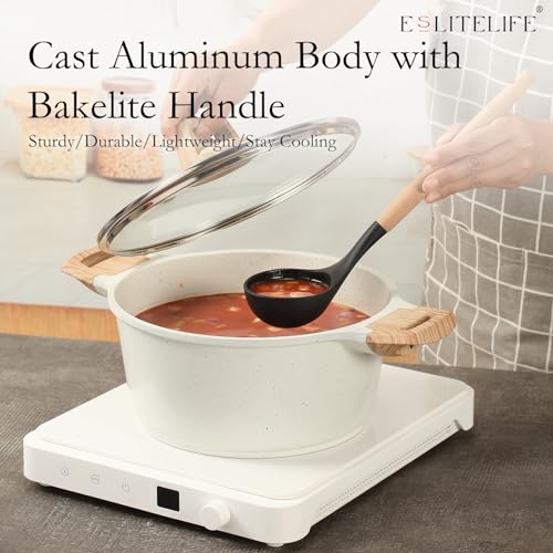 Nonstick Stock Pot with Lid