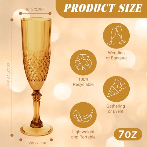 12 Pack Plastic Champagne Flutes (12 Count)
