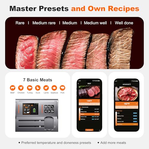 Dual Probes Meat Thermometer