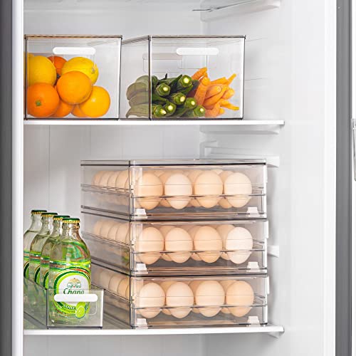 24 Capacity Egg Holder for Refrigerator Organizer Bins