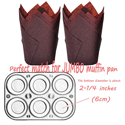 500 pcs Large size Brown Tulip Baking Cups 2 (500 Count)